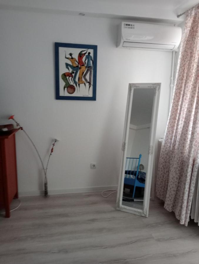 Skyline Central Apartment Timisoara Exterior foto