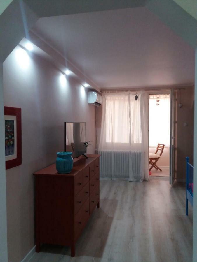 Skyline Central Apartment Timisoara Exterior foto