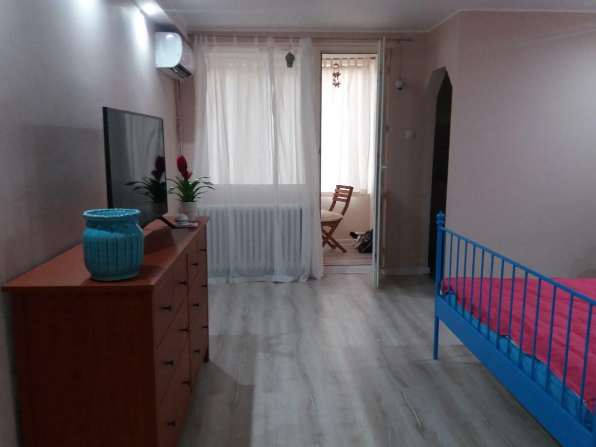 Skyline Central Apartment Timisoara Exterior foto