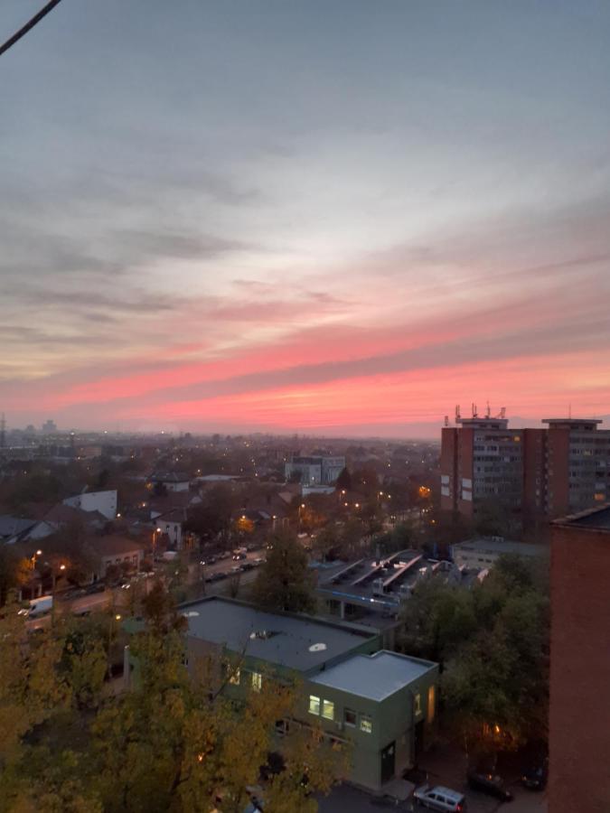 Skyline Central Apartment Timisoara Exterior foto