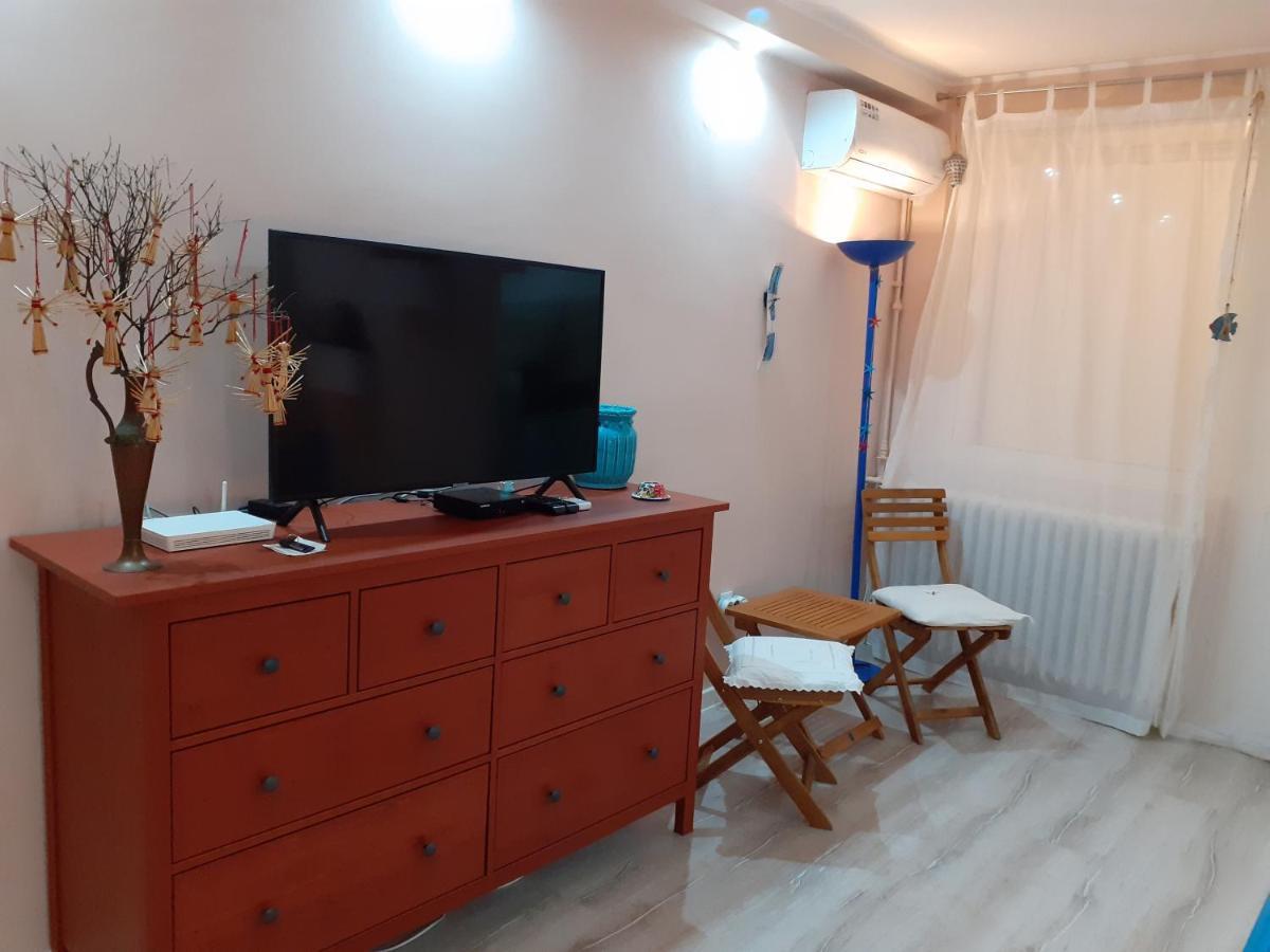 Skyline Central Apartment Timisoara Exterior foto