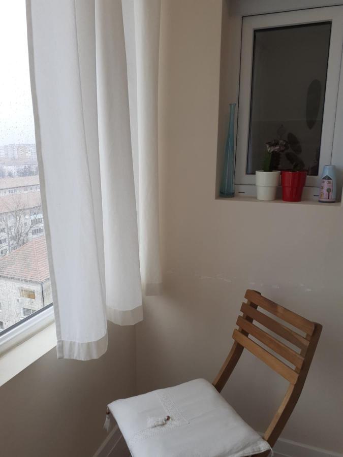 Skyline Central Apartment Timisoara Exterior foto